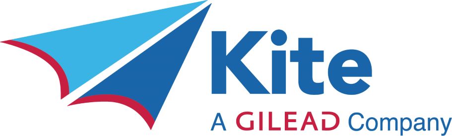 Kite Color Logo 2